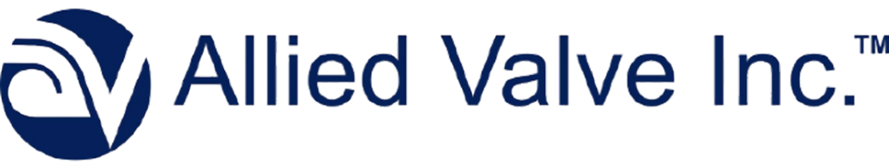 AVI_PrimaryColorLogo 1