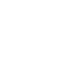 SOC2 TYPE IMAGE-1