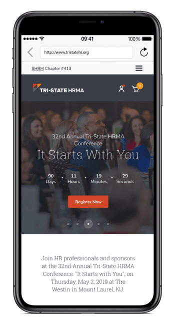 MS_Website_Web_Design_Dev_IMAGE MS_Website_Web_Design_Dev_IMAGE