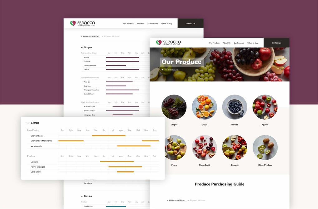 UX/UI UX/UI