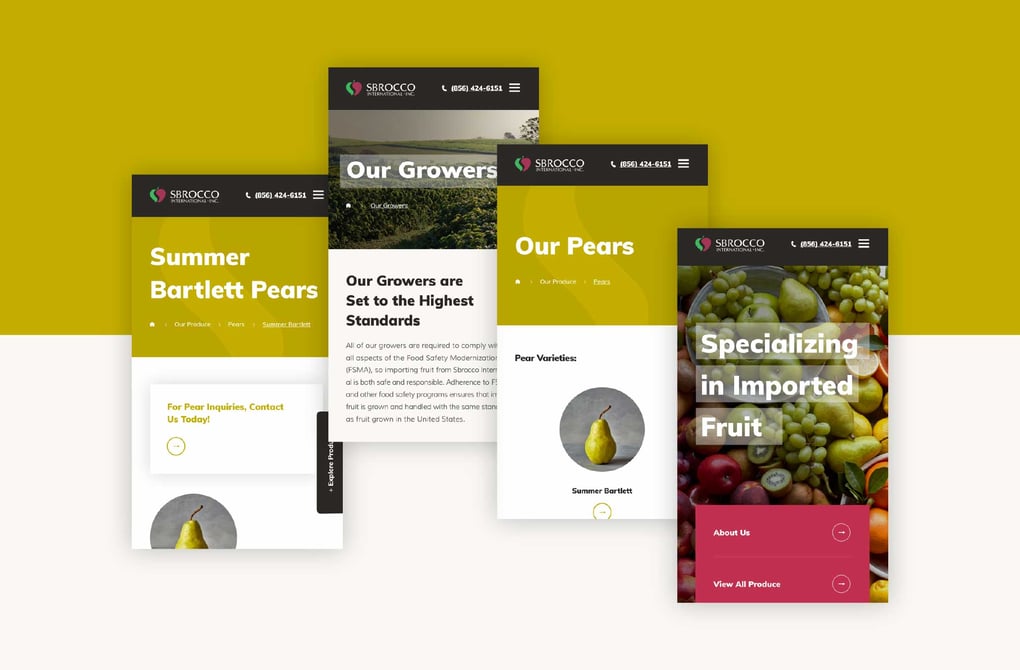 B2B Website B2B Website