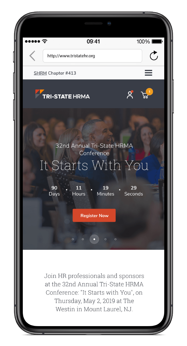 MS_Website_Web_Design_Dev_IMAGE MS_Website_Web_Design_Dev_IMAGE