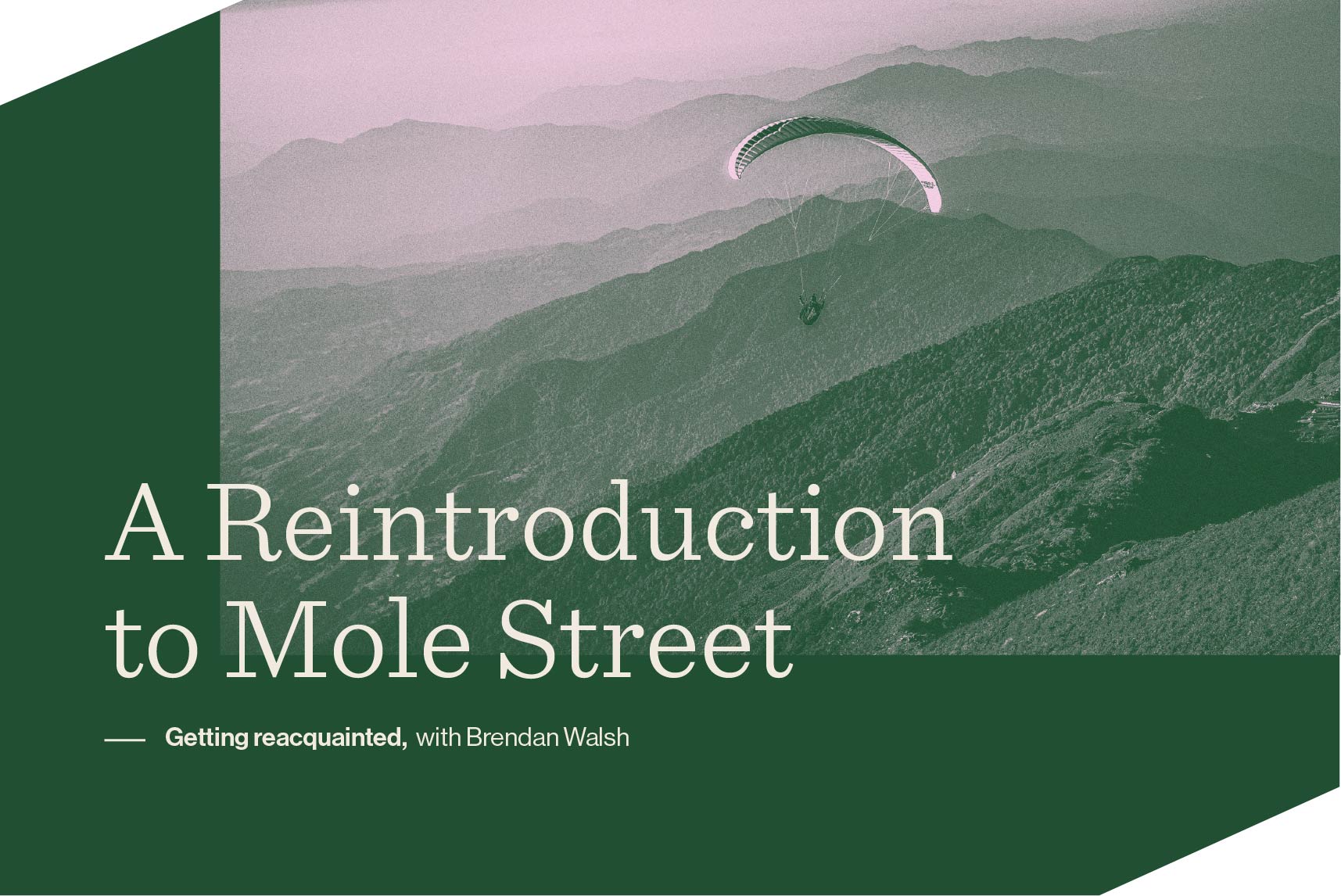 A Reintroduction to Mole Street