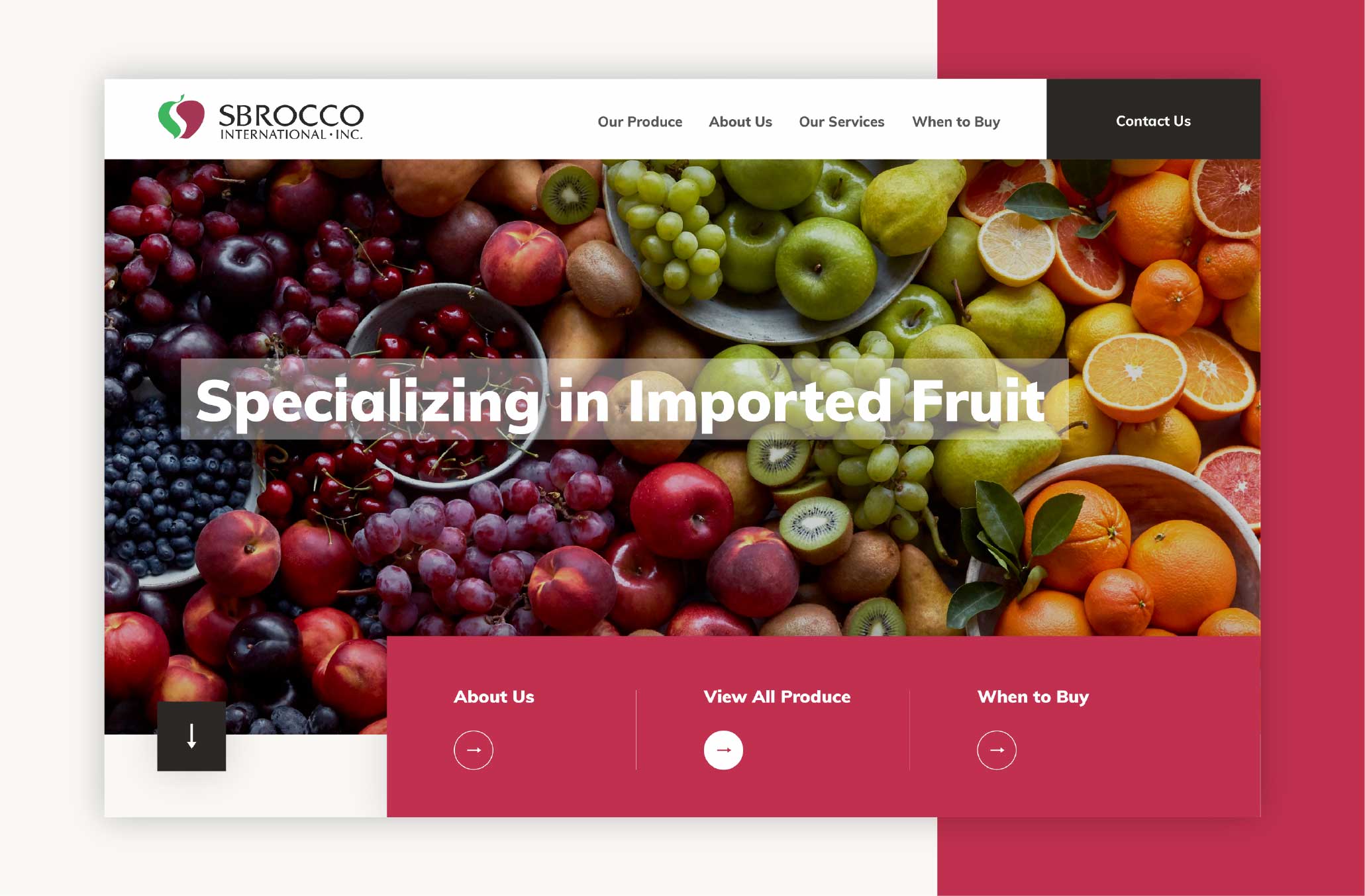 Sbrocco-Website-Mockups Sbrocco-Website-Mockups