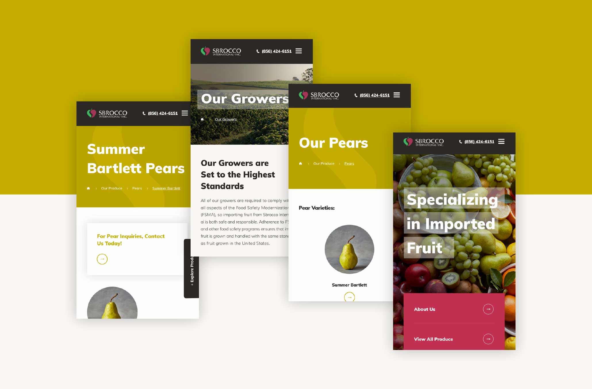 B2B Website B2B Website