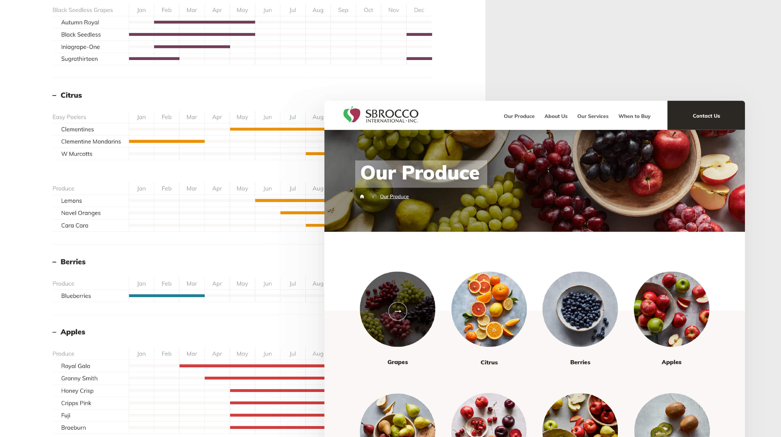 Sbrocco_Website_Mockups_IMAGES_4